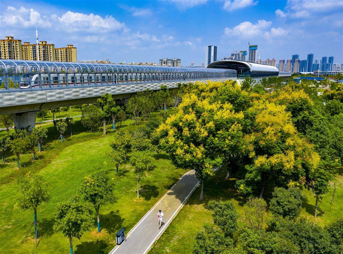 线上美高梅官方